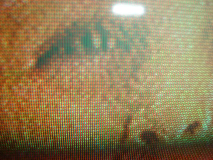 poze de verificat 095