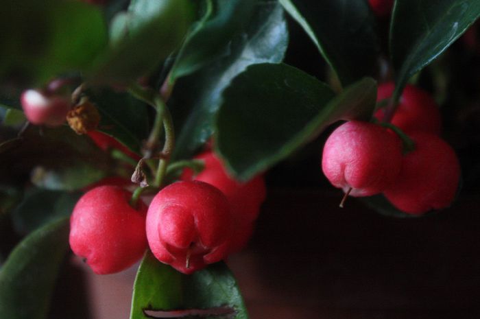 IMG_0103 - Noiembrie 2013