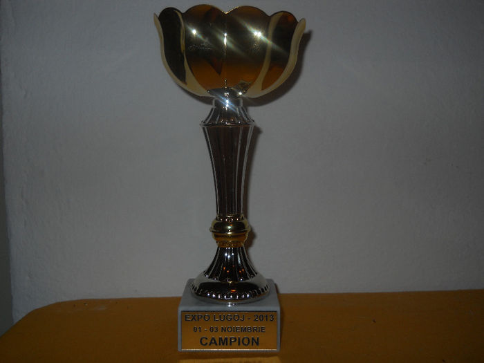 Campion Expo 2013 - Premii