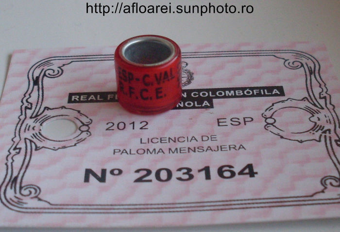 esp-c.val rfce 2012 - VALENCIA