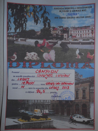 Campion expo! Luci Onujec; 96,5pct
