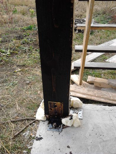 am inceput sa tratam lemnul de la baza