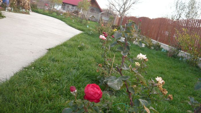 Picture 3464