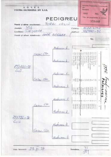 358440-92 TORAC - pedigreele unor porumbei achizitionati