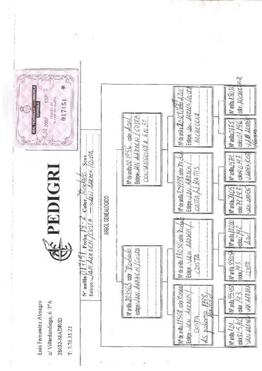 017151-07ESP - pedigreele unor porumbei achizitionati