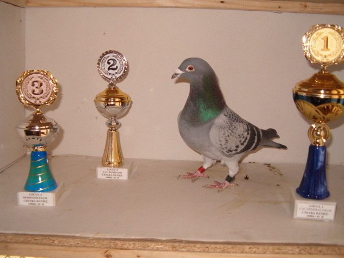 160066-03-M; LOC 1 GENERAL ARAD LOC 1 VITEZA LOC 2 DEMIFOND.ARAD ARE SI EXPOZITIE BRASOV 2005
