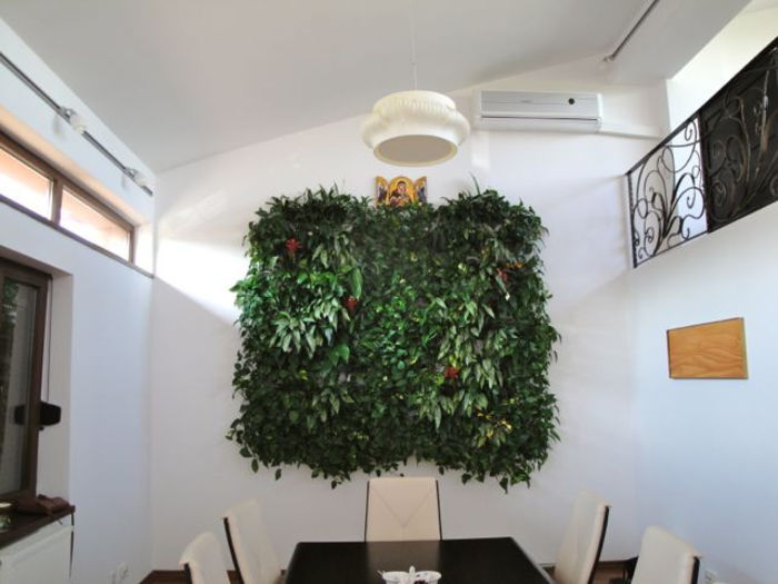 model de perete verde - plante pt perete verde