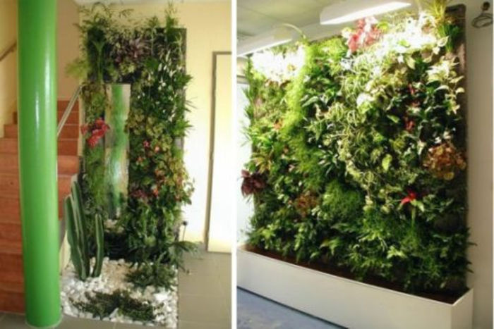 gradina verticala - plante pt perete verde