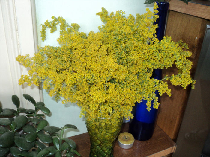 un buchet de sanzaiene