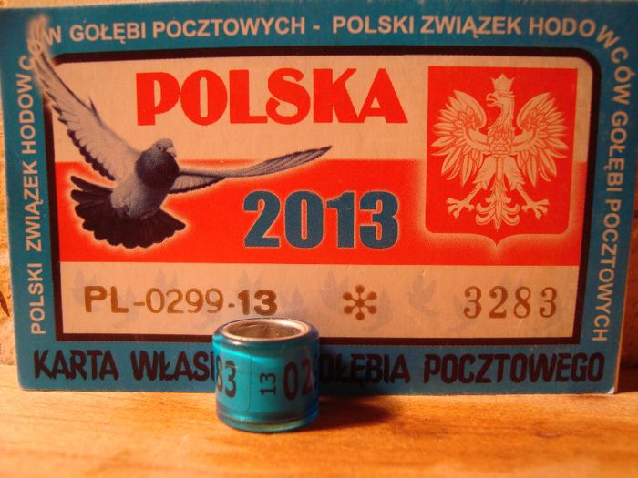 PL  FCI  2O13 - POLONIA PL