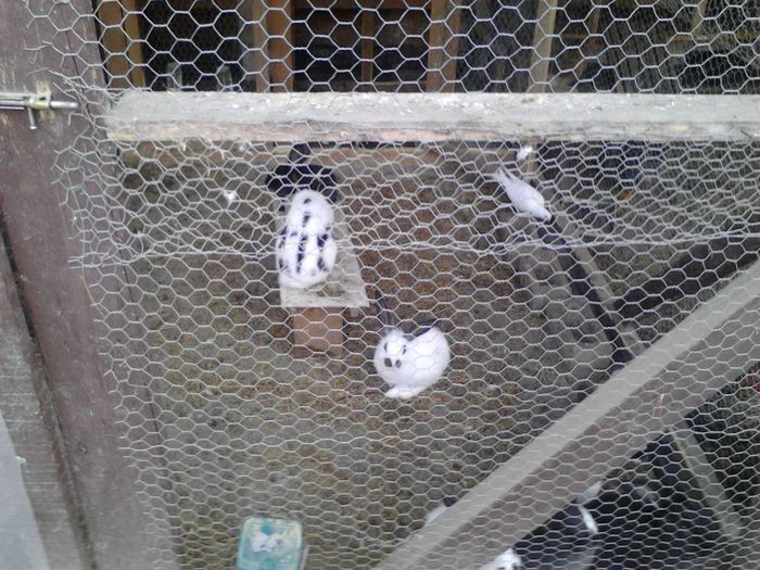 IMG_20131105_090557_953