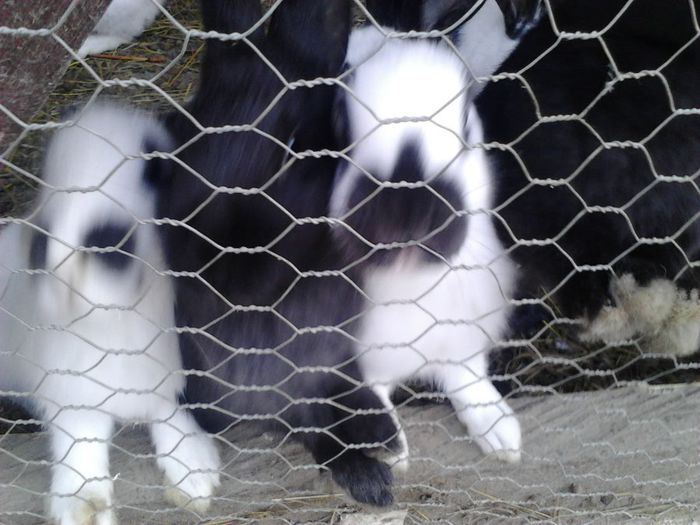 IMG_20131105_090604_393