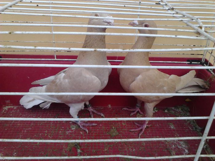 IMG_20131105_090700_176