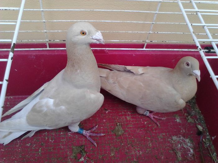 IMG_20131105_090734_933