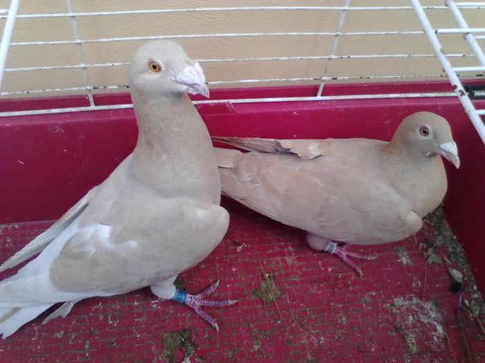 IMG_20131105_090737_421