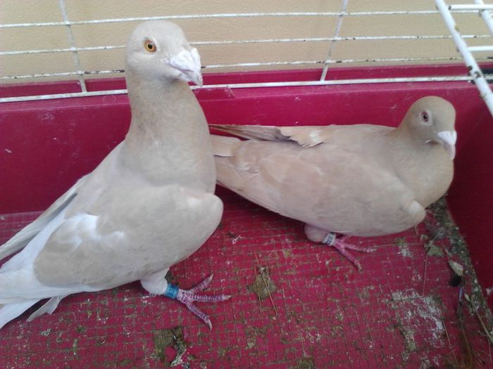 IMG_20131105_090740_006