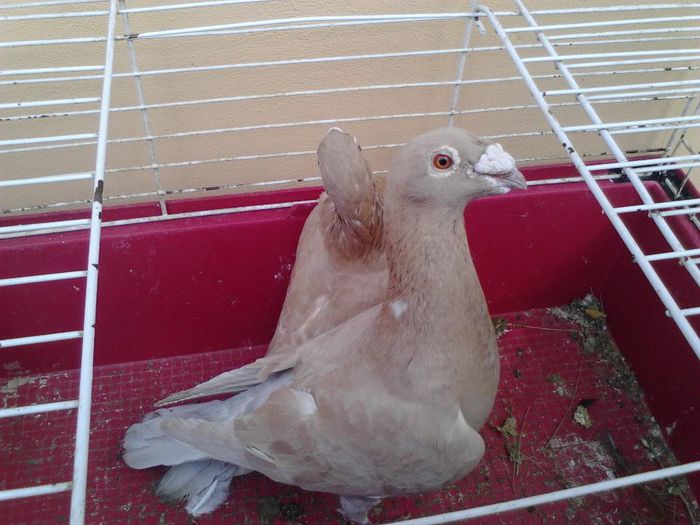 IMG_20131105_090831_845