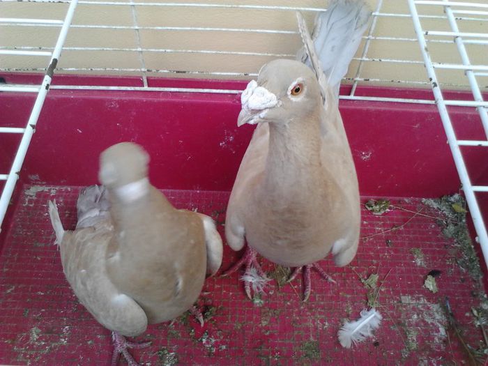 IMG_20131105_090852_805