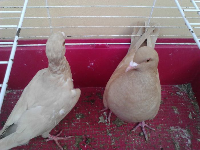 IMG_20131105_090939_221