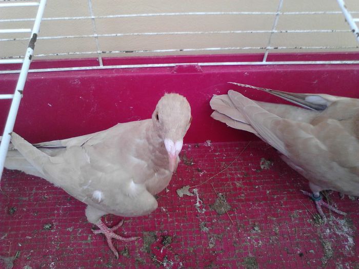 IMG_20131105_090946_862