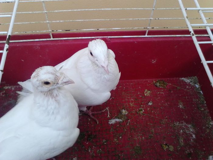 IMG_20131105_091303_606