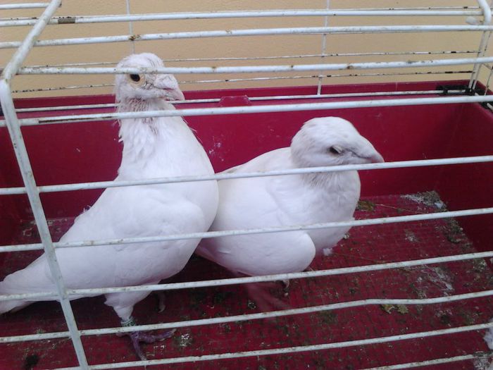 IMG_20131105_091317_020