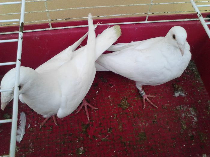 IMG_20131105_091527_543