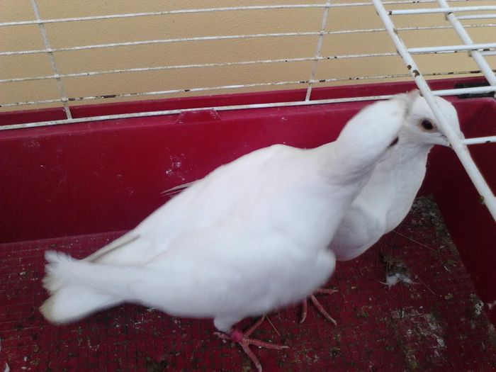 IMG_20131105_091532_584