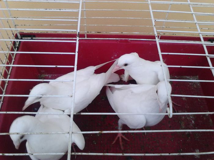 IMG_20131105_091636_721