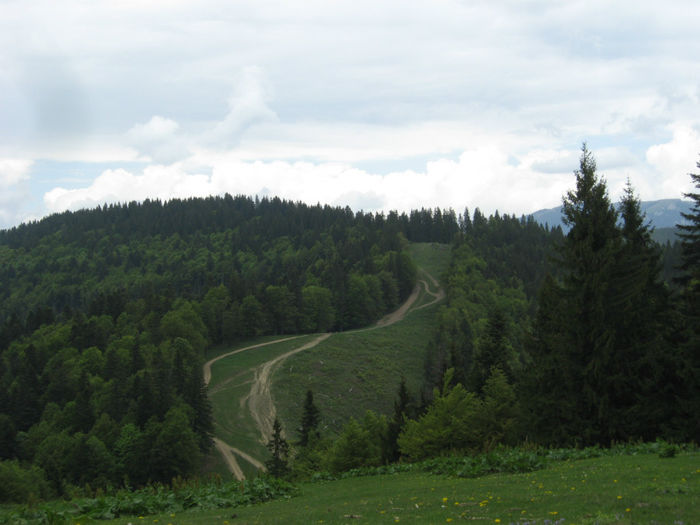 coboram spre cabana Garbova noi venim din Azuga - Excursii aprilie -mai 2013