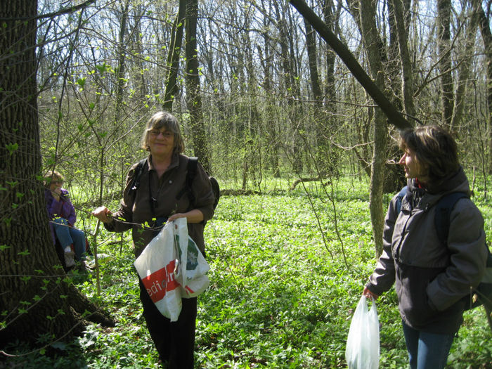 IMG_8033 - Excursii aprilie -mai 2013