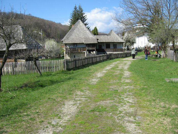IMG_8328 - Excursii aprilie -mai 2013