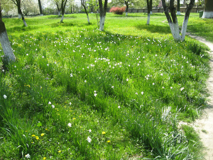 IMG_8658 - Excursii aprilie -mai 2013