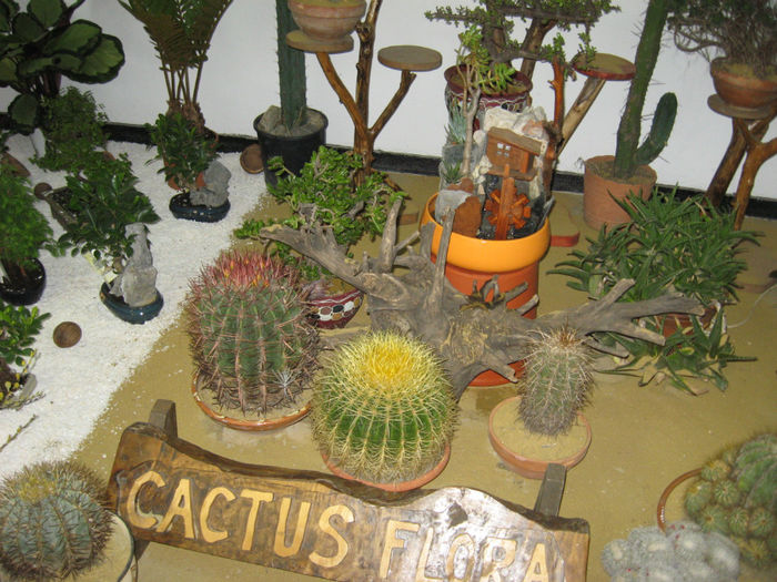 IMG_8735 - Excursii aprilie -mai 2013