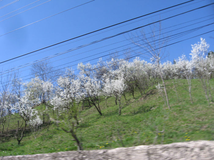 IMG_8900