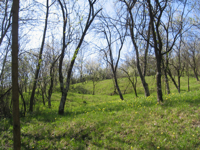 IMG_8909