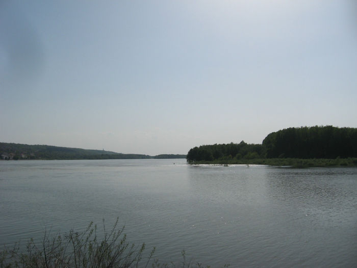 Dunarea