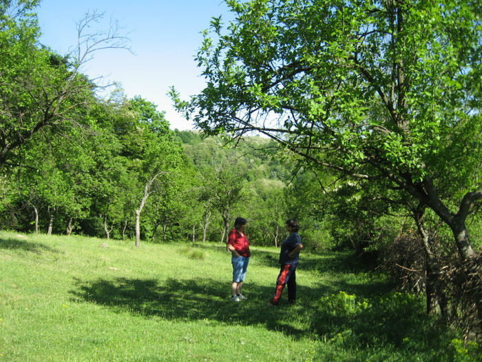 relaxare in gradina