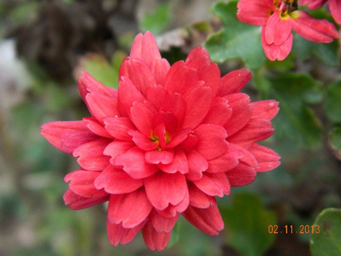 048 - 04_TOAMNA