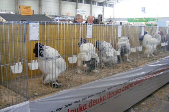 HANNOVER 2013 (54)