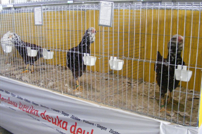 HANNOVER 2013 (79)