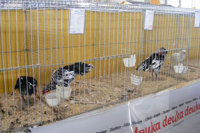 HANNOVER 2013 (80)