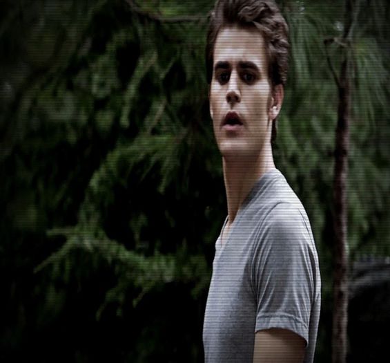  - v a m p i r e_Stefan Salvatore