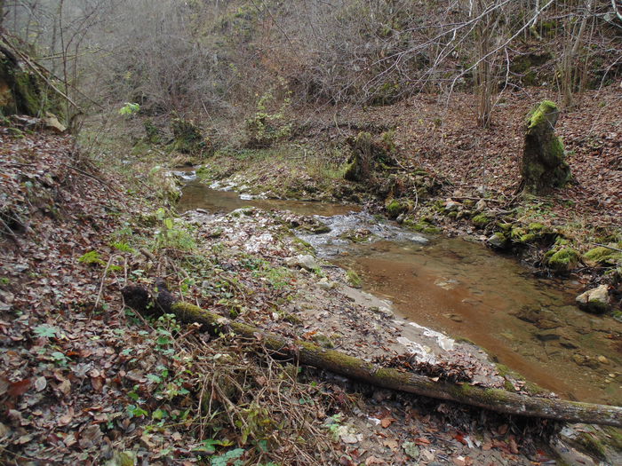 DSC00055