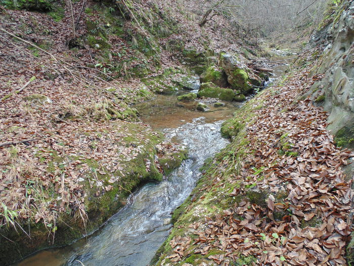 DSC00052