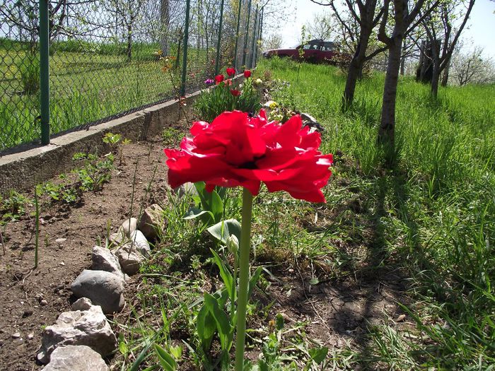 DSCF4834 - 2013