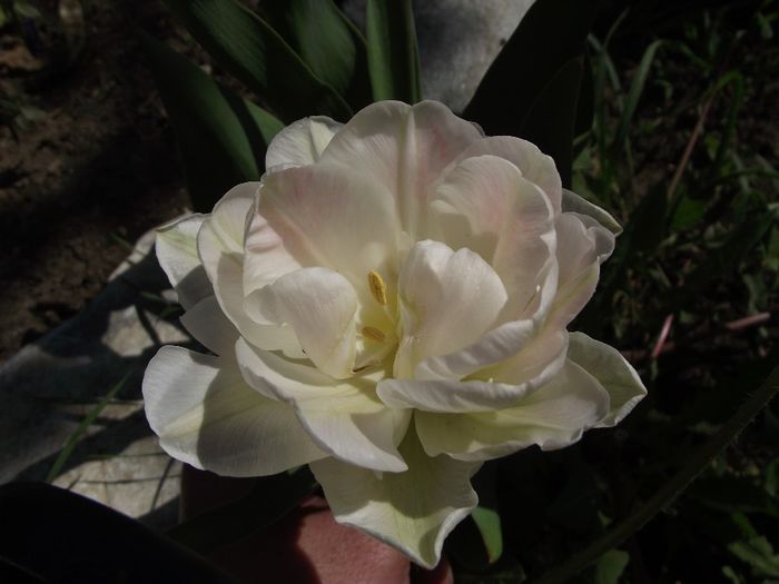 DSCF4836 - 2013