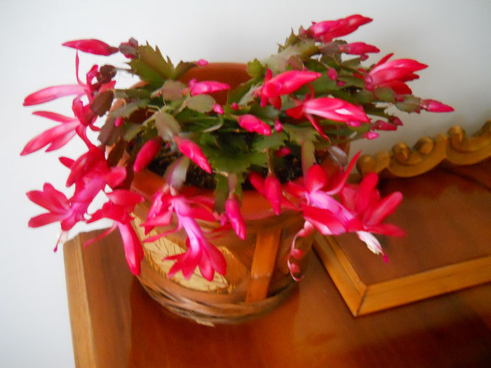 DSCN6842_021