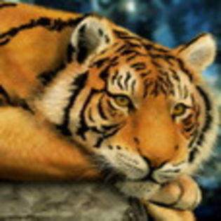 avatare_animale_1716