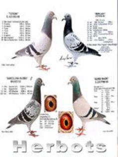HERBOTS